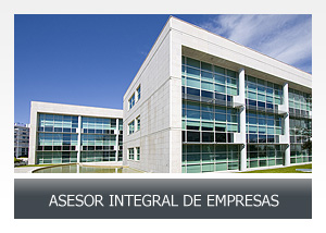 Asesor integral de empresas